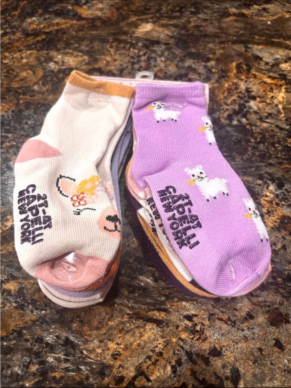 New 10 pairs of Capelli New York Toddler Socks Set